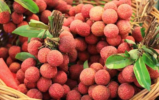 বোম্বাই ‍লিছু